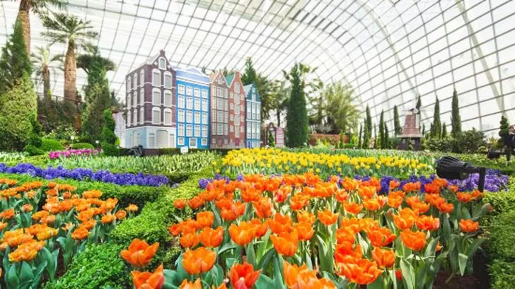 Flower-Dome-singapore