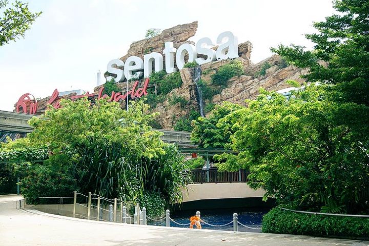 Forested area in Sentosa: Treat for nature lovers