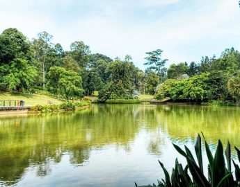 Singapore-Botanical-Gardens