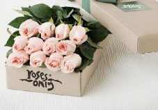 roses-only-12-stems