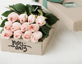 roses-only-12-stems