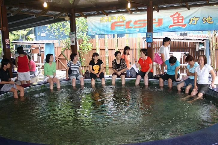 Qian Hu Fish Spa Singapore