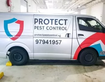 Protect Pest Control