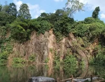 Bukit Batok Nature Park