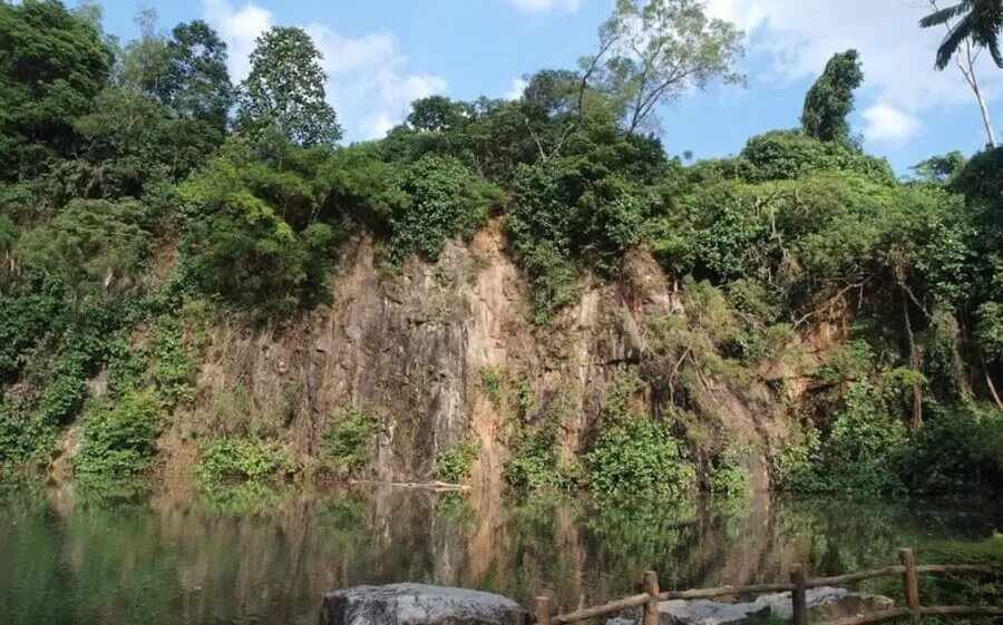 Bukit Batok Nature Park