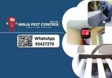 Ninja Pest Control