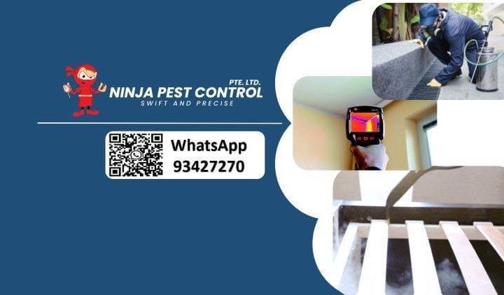 Ninja Pest Control