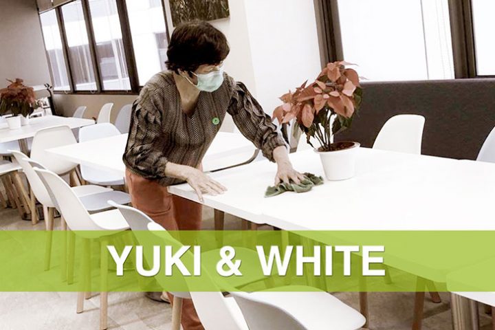 Yuki & White @ Up-Services