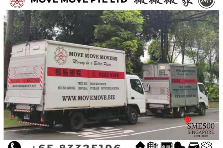 Review Of Move Move Movers