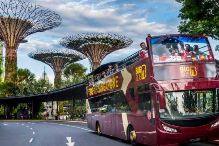 Hop-on, Hop-off Singapore Big Bus Tour