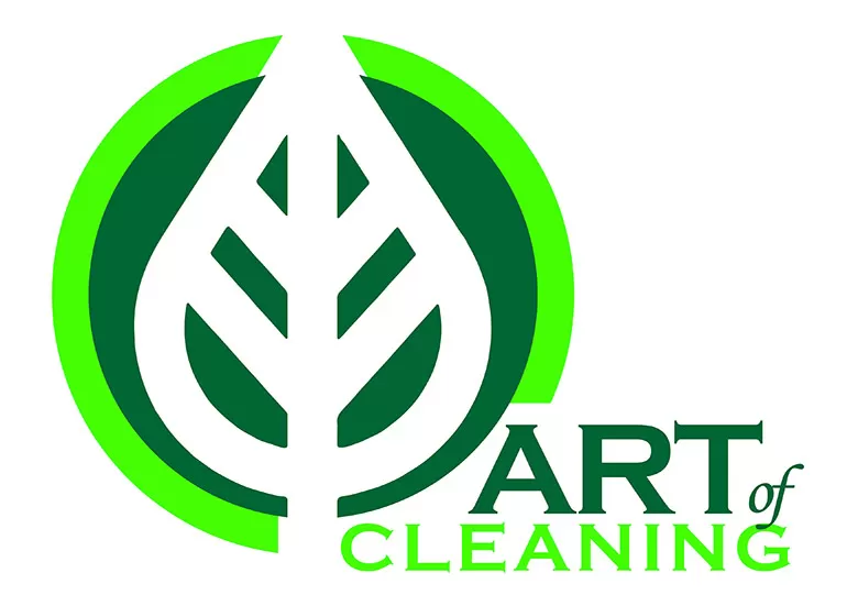 Art Of Cleaning Review