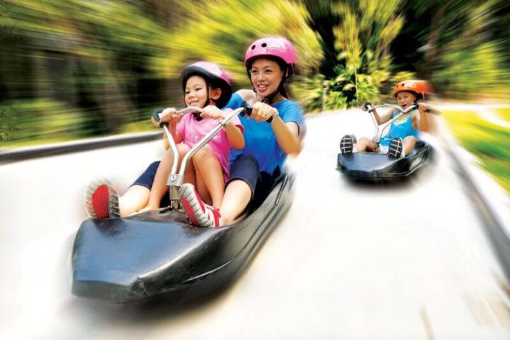 Luge Riding at Skyline Luge Singapore