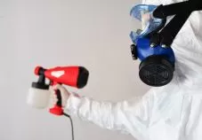 Best Mould Removal Services in Singapore