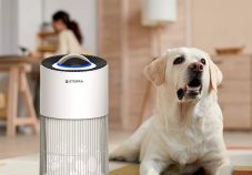 Best Air Purifiers to Buy for Pet Owners in Singapore