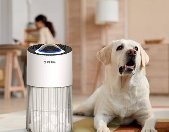 Best Air Purifiers to Buy for Pet Owners in Singapore