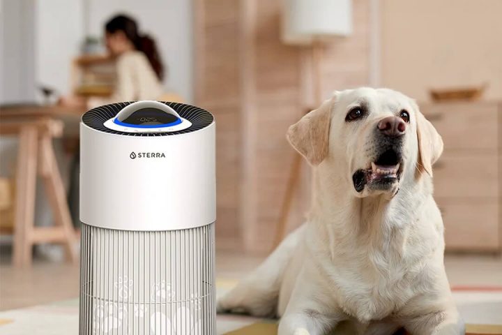 Best Air Purifiers to Buy for Pet Owners in Singapore