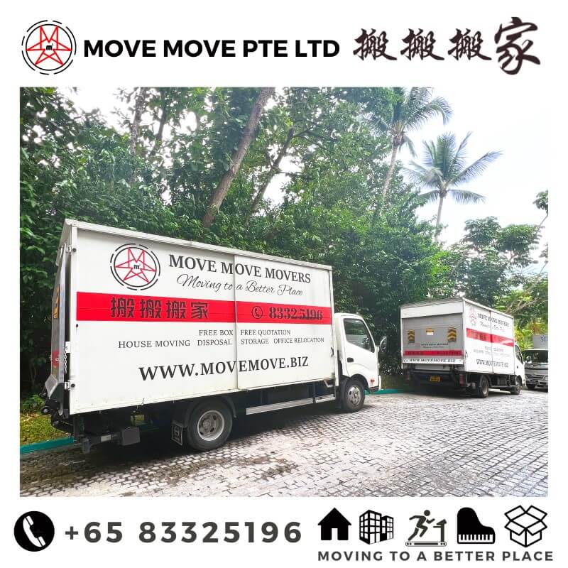 Move Move Movers