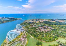 view-of-singapore-city